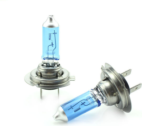 Set 2 Halogen H7 Birnenarten +100% Intensität Lange Lebensdauer CarGuard