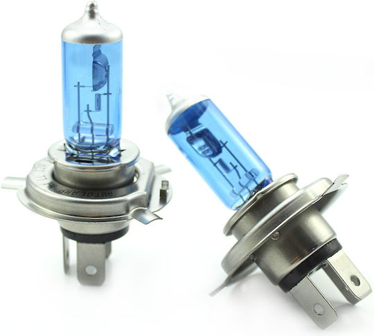 Set 1 Set 2 Halogen H4 Bulbs + 100% Intensity Long Life Carguard