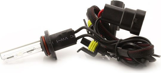 Bec Xenon 9006-6k Carguard