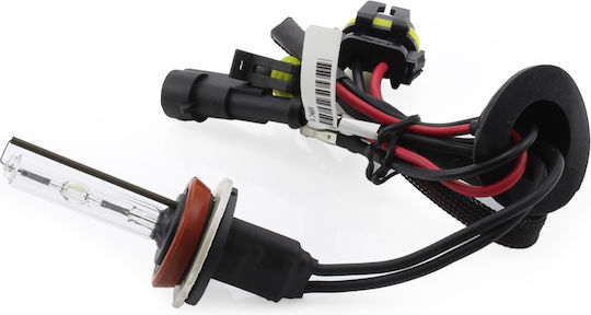 Xenon Bulb H8-4.3k Carguard
