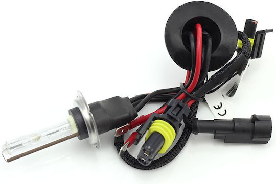 Bec Xenon Auto Carguard H7 4300K