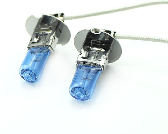 CarGuard Autolampen Halogen H3 Glühbirnen +100% Intensität Lange Lebensdauer