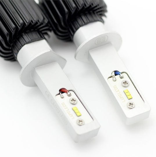 Set 1 Led H1 Carguard