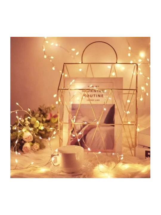 800 Lights LED Warm White in String 1pcs