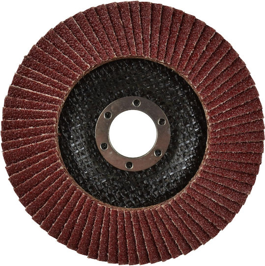 Geko Disc de șlefuire P40 125mm