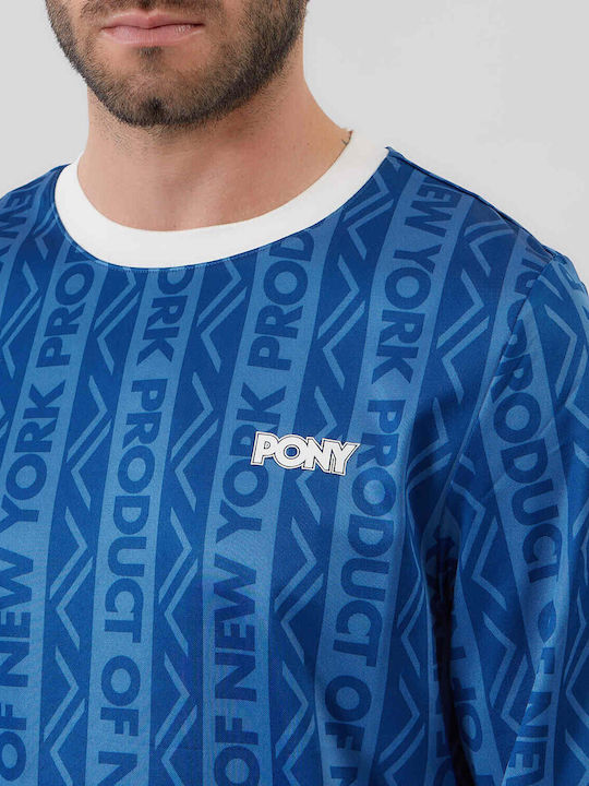 Pony