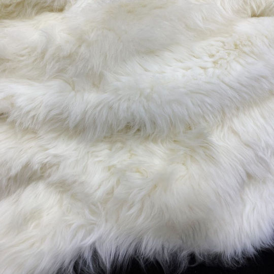 Leather White Leather White
