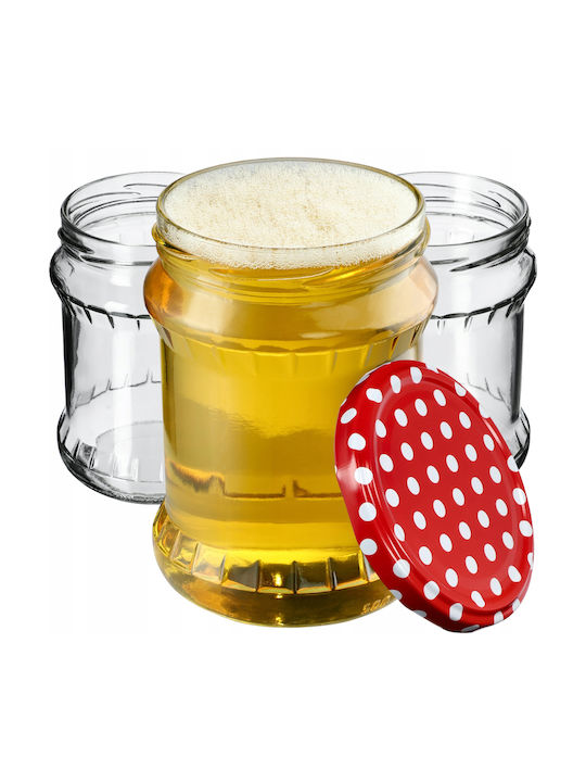 Kadax Set 24Stück Gläser Allgemeine Verwendung mit Deckel Glas Transparent 500ml
