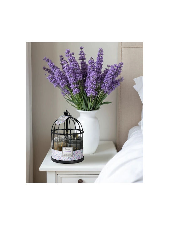 Viosarp Aromatisch Kerze
