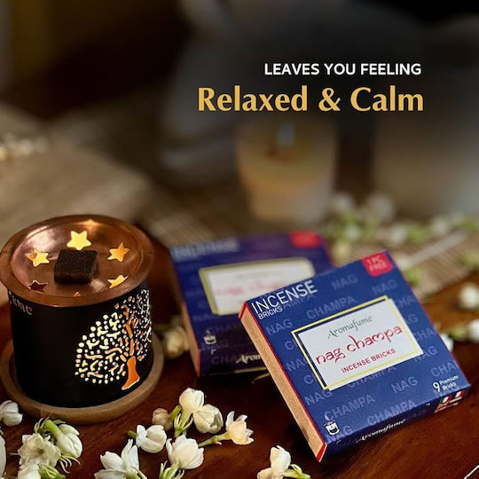 Incense Bricks Nag Champa 10 Pieces