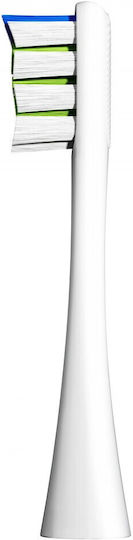 OClean Clean Ανταλλακτικά για 2τμχ