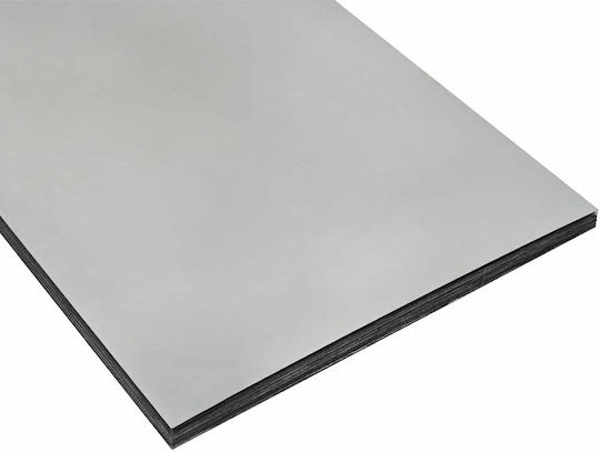 Vidaxl Ταΐστρα Κοτόπουλων 2 Pcs Ασημί 60.5 X 29 X 51 Εκ