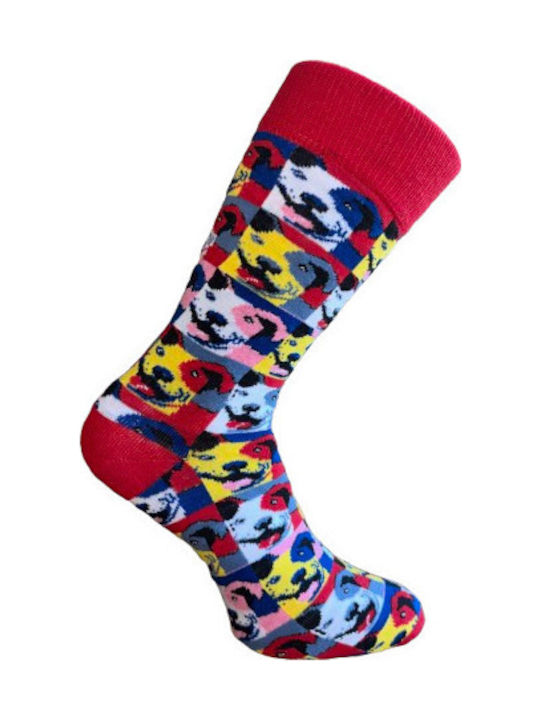 Kal-tsa Men's Socks Multicolour 5Pack
