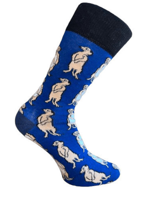 Kal-tsa Men's Socks Multicolour 5Pack