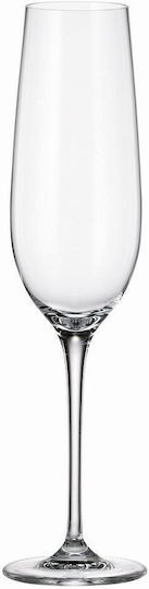 Crystal Bohemia Set of Glasses Champagne / Cocktail/Drinking made of Crystal Stemmed 270ml 6pcs