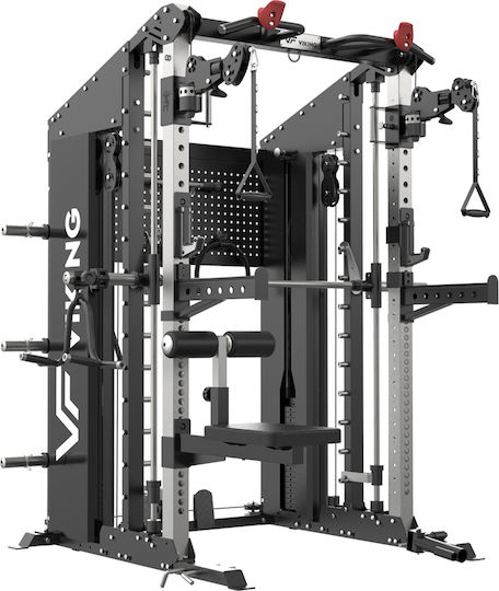 Viking CFT Functional Trainer Smith ohne Gewichte