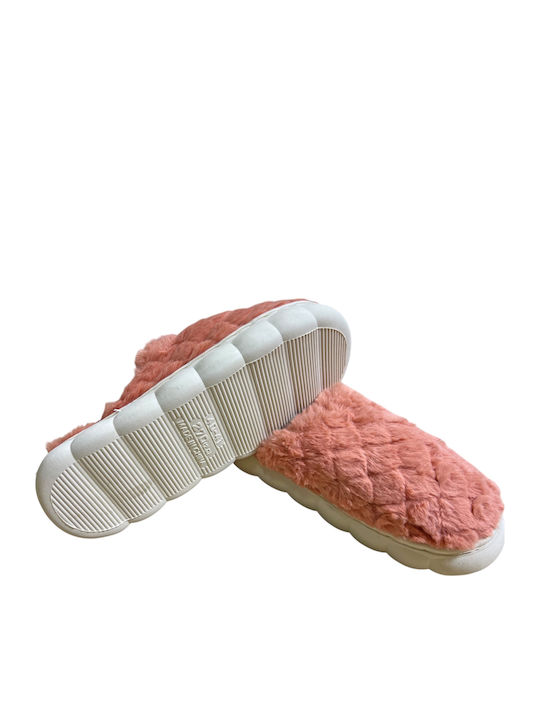 TnS