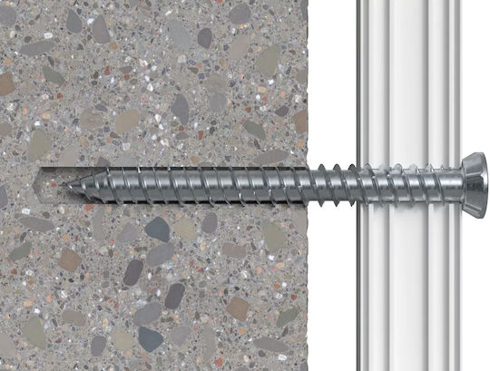 fischer Zement-Schrauben Torx Verzinkt mit Länge 7.5mm 100Stück Ffs