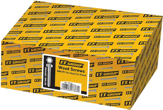 FFG Coach Screw DIN 571 with Diameter M10 and Length 10mm 50pcs