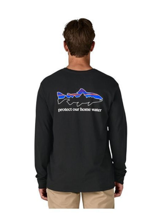 Patagonia