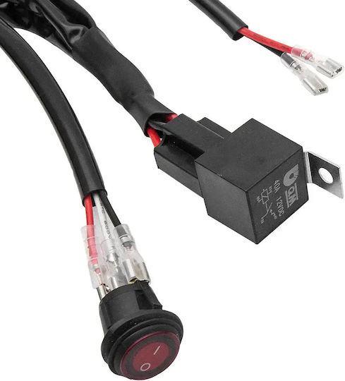 Releu Auto 12V