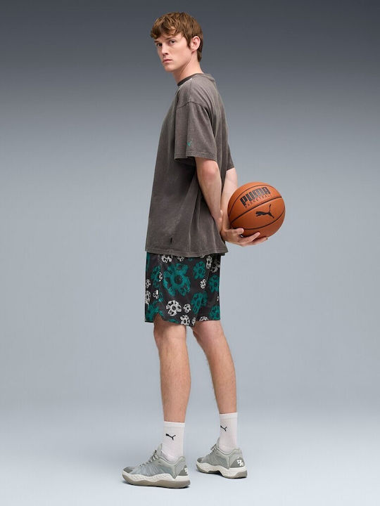 Hali 1 Niedrig Basketballschuhe Gray Echo / Feather Gray