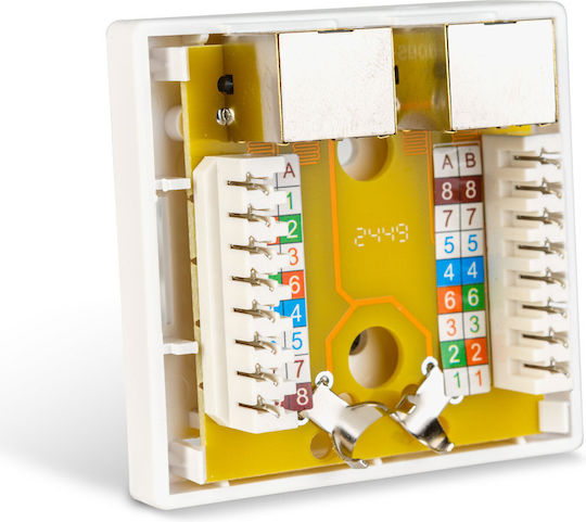 Double Wall Socket Ftp Cat6 8p8c Rj45 Surface Mount