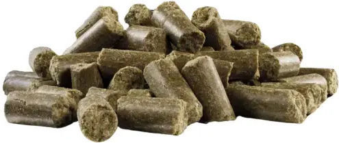Dry Dog Food Iberico Pork Apples & Probiotics Cold Pressed Yoggies Normal 2 Kg