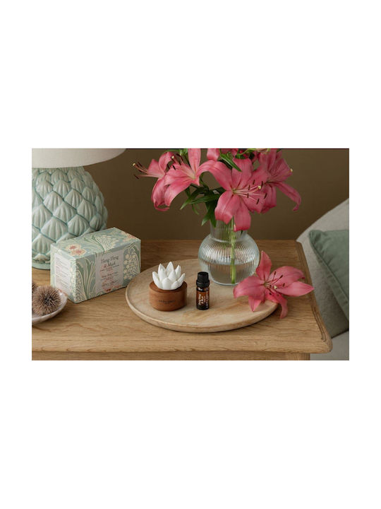 Laura Ashley Σετ Diffuser με Άρωμα Ορχιδέα 3τμχ 10ml