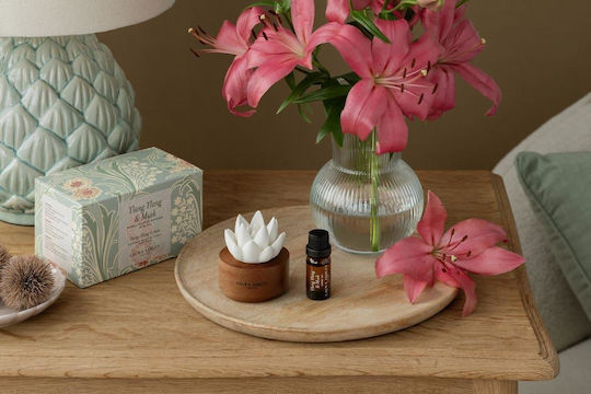 Laura Ashley Laura Ashley Raumdüfte Set mit Sandelholz Parfüm A2403 3 Stück 10ml