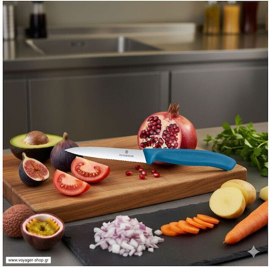 Victorinox Swiss Classic Knife General Use from Stainless Steel 10cm