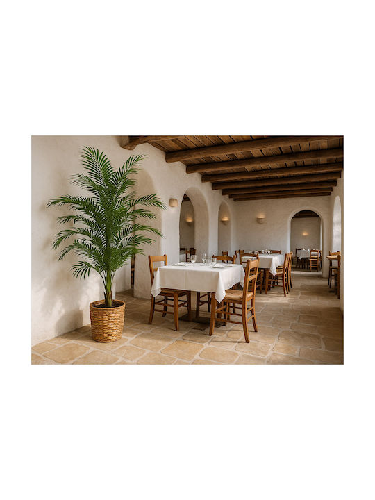 Palm Tree Np9295_160 Υψος 160cm Newplan