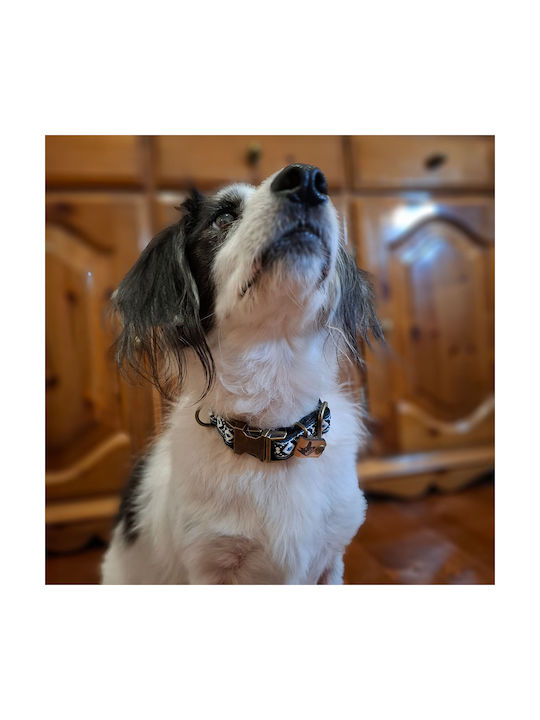 Dog Collar Tribal Urban Adjustable Fabric Collar Bailu Xs 22 34cm Neck Diameter 2cm Width Yellow