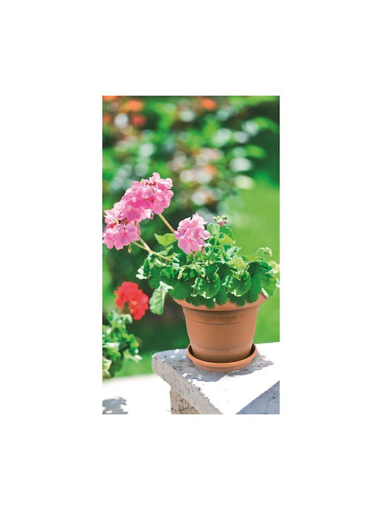 Viosarp Topf Kunststoff Viosarp 34.5x34.5x28.5cm.