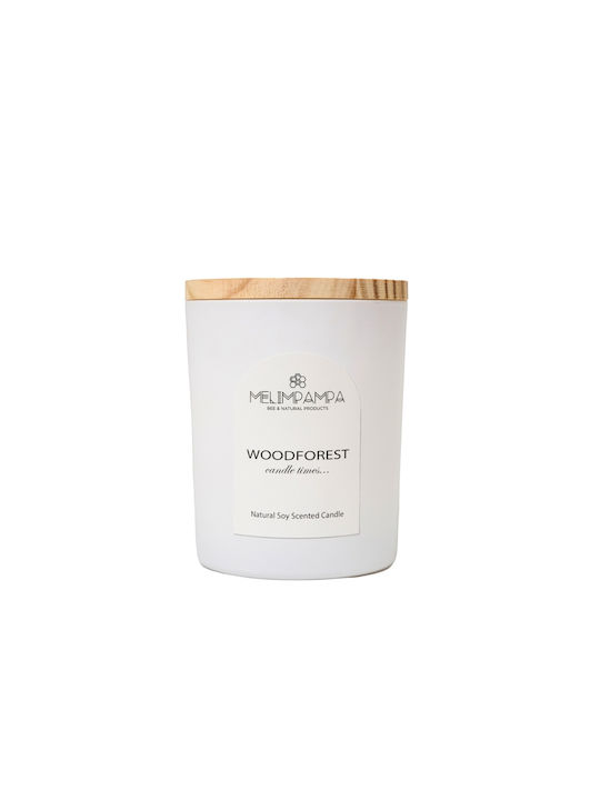 MeliMpampa Aromatic Soy Candle in Jar with Woodforest Scent 150g