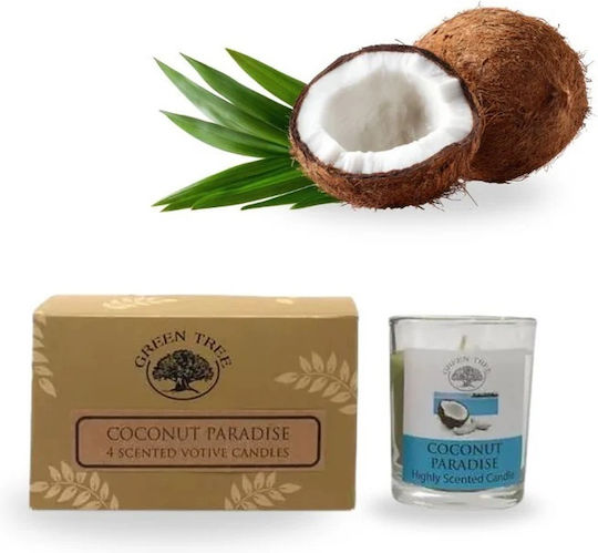 Αρωματικό Σόγιας σε Βάζο Λευκό Αρωματικό Σόγιας σε Βάζο Λευκό