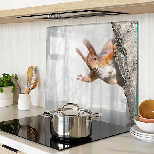 Glass Kitchen Cutting Board Print Tempered Glass Squirrel 60x52 Cm