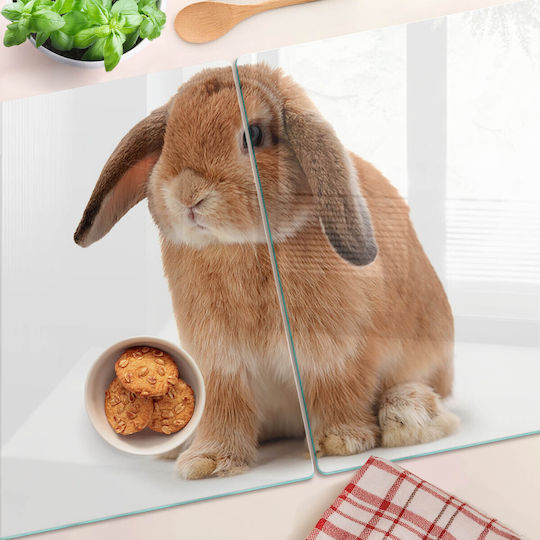 Küchenarbeitsplattenabdeckung Glas Roter Hase 2x40x52 cm