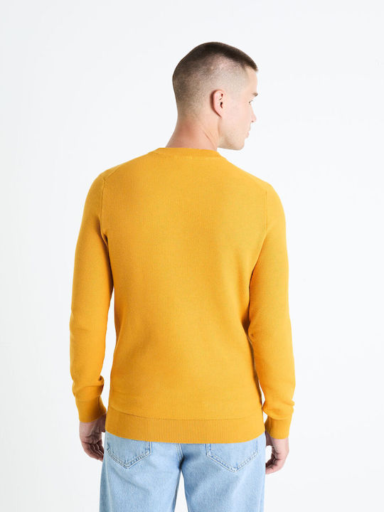 Celio