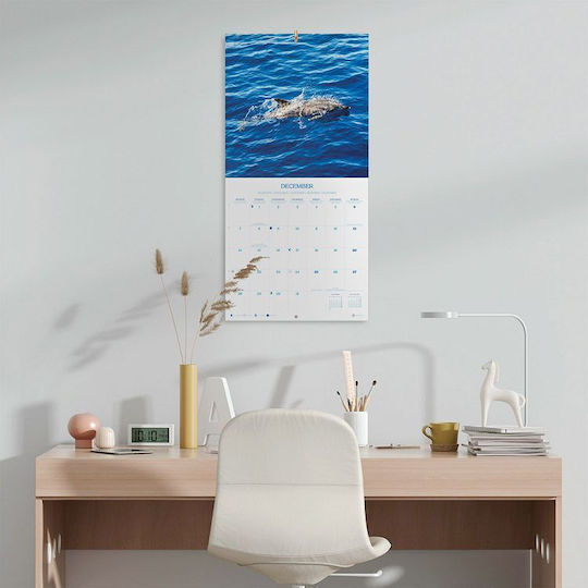 Grupo Erik Μηνιαίο Επιτοίχιο Ημερολόγιο Dolphins 2026 30x30εκ.
