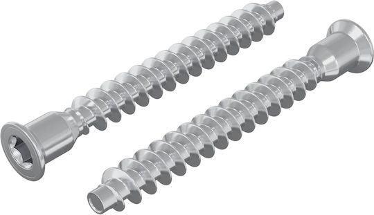 vidaXL Screw Torx Metallic with Diameter M7mm 2pcs