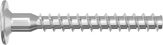 vidaXL Screw Torx Metallic with Diameter M5mm 2pcs