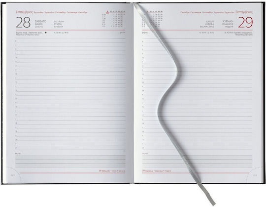 THeofylaktos Zilnic Agenda 2026 Verde 17x24cm