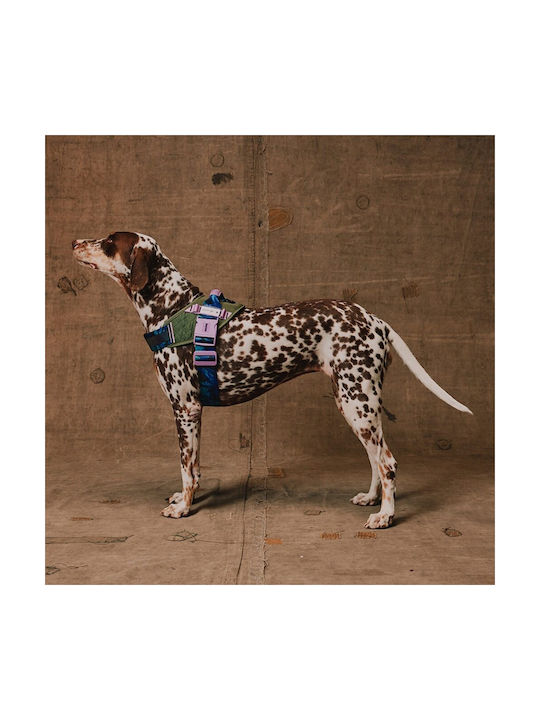 Zee Dog Σαμαράκι Σκύλου Reebok Trekk Fly Harness 62-86 Cm Size 4