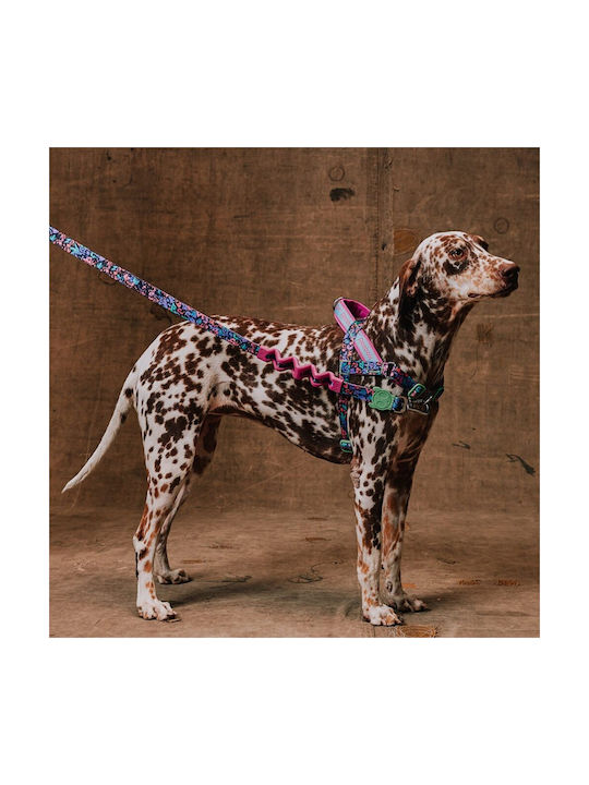 Zee Dog Ошийник За Кучета Reebok Aerobic 45-70см Х 2,5см L