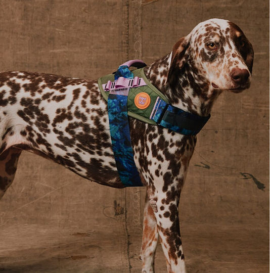 Zee Dog Οδηγός Περιπάτου Σκύλων Reebok Ruff Trekk 120cm X 2,5cm L
