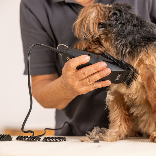 Dog Grooming Clippers Power