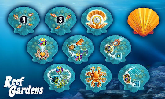 Επιτραπέζιο Παιχνίδι Reef Gardens για 2-4 Παίκτες 10+ Ετών (EN) Dlp Games