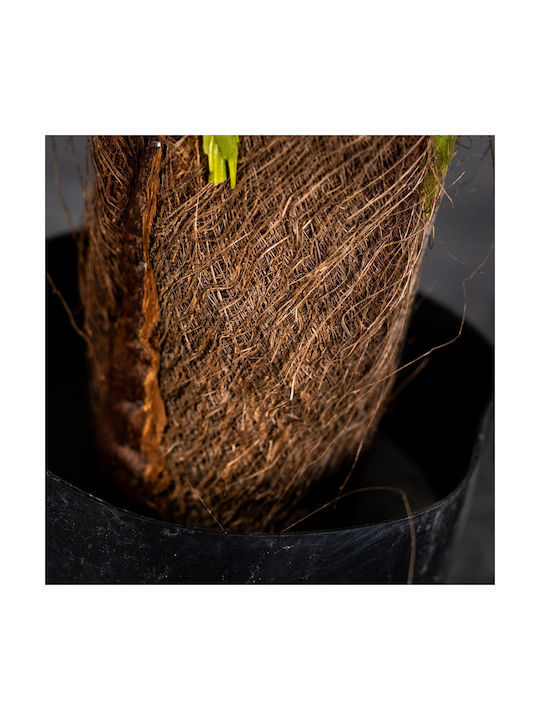 Supergreens Künstlicher Monstera-Baum Grün 150 cm