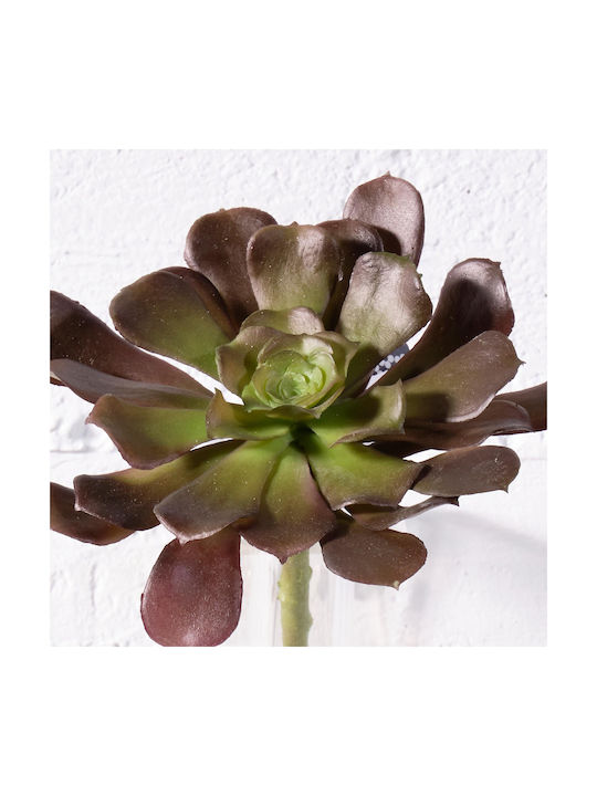 Supergreens Artificial Recessed Brown Succulent Plant 10 Cm